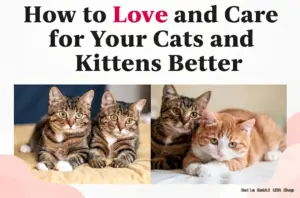 A title reads, How to Love and Care for Your Cats and Kittens Better. Below are two photos: one of two tabby cats lying side by side, and another showing cat care as a tabby and an orange cat cuddle on a bed. The background is light with pink accents.