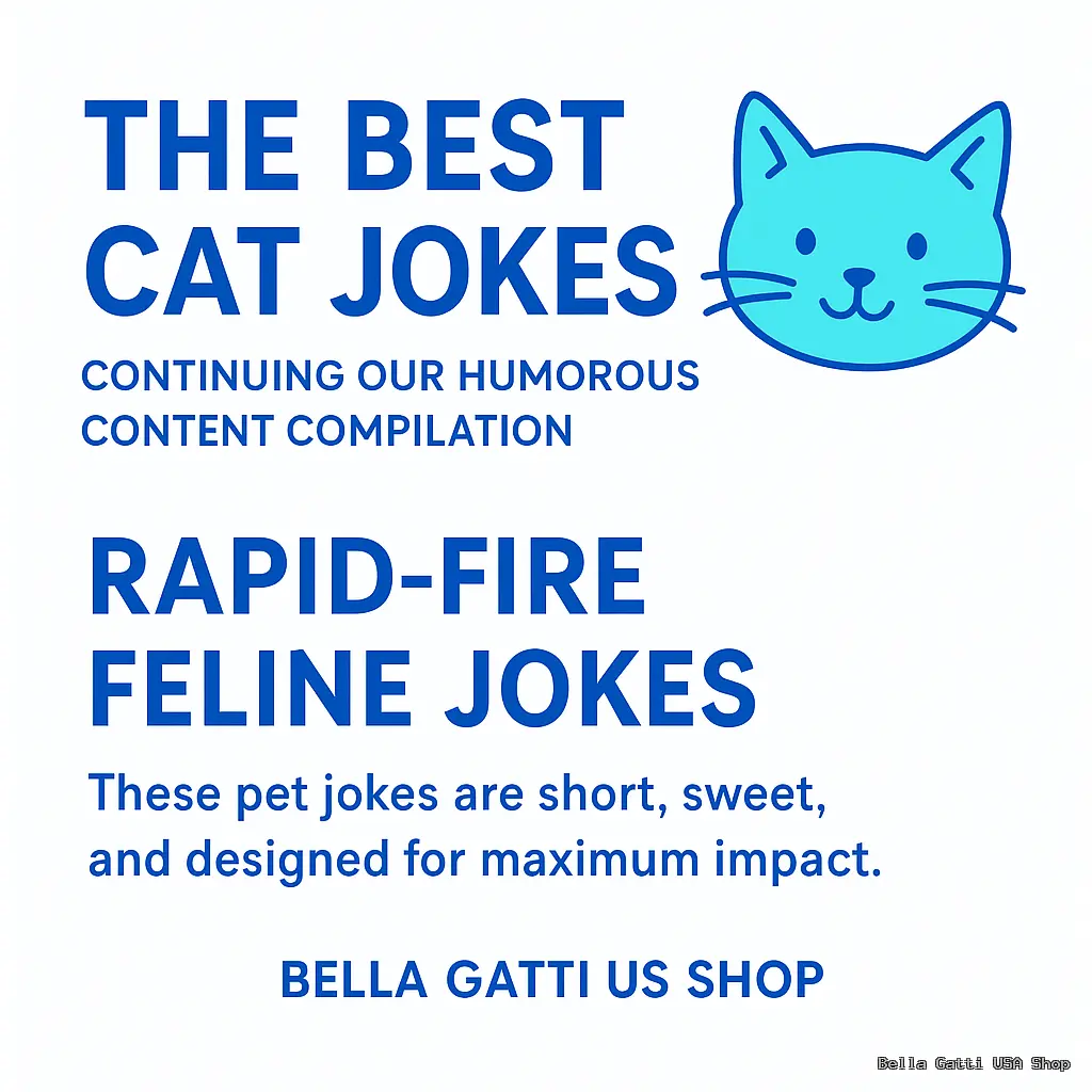 The Best Cat Jokes: Continuing Our Humorous Content Compilation