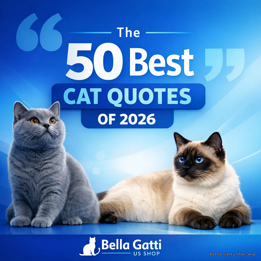 Top 50 cat quotes 2026, Bella Gatti store.