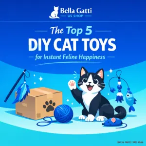 Top 5 DIY cat toys for happiness.