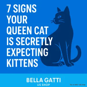 7 Signs Your Queen Cat Is Secretly Expecting Kittens