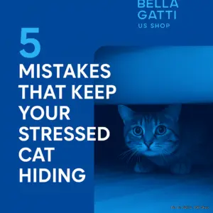 5 Mistakes That Keep Your Stressed Cat Hiding