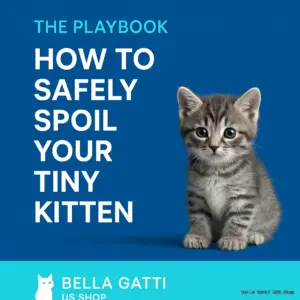 The Playbook: How to Safely Spoil Your Tiny Kitten