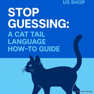 Stop Guessing: A Cat Tail Language How-To Guide
