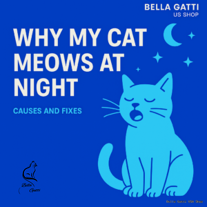Graphic about why cats meow at night
