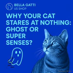 Cat staring with ghost graphic and bold text