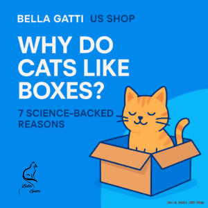 Cartoon cat sitting inside cardboard box graphic