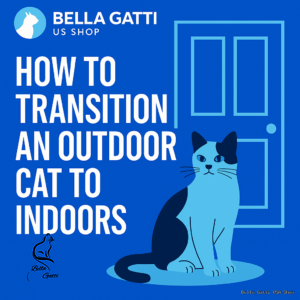 Illustration of cat by door with transition text