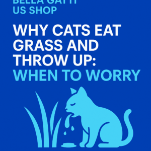 Cat vomiting near grass with informational headline