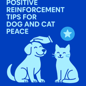 Positive reinforcement tips for dog and cat peace