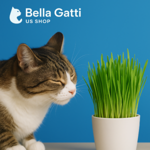 Tabby cat sniffing potted green cat grass