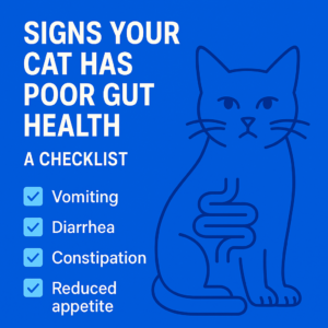 Checklist of cat poor gut health signs