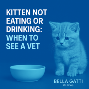 Kitten beside empty bowl with vet advice text