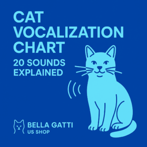 Cat vocalization chart with illustrated blue cat